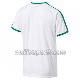 Maillot de Foot Sénégal Domicile Coupe du monde 2018